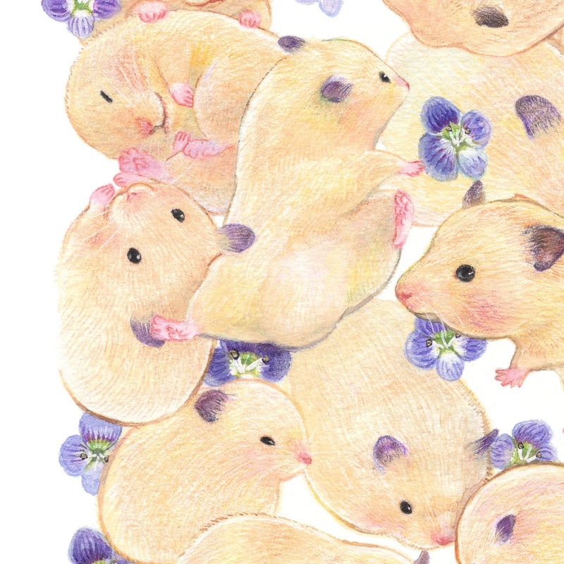 複製原画《どんなきみも》｜30匹のキンクマハムスターのおもちと30輪の