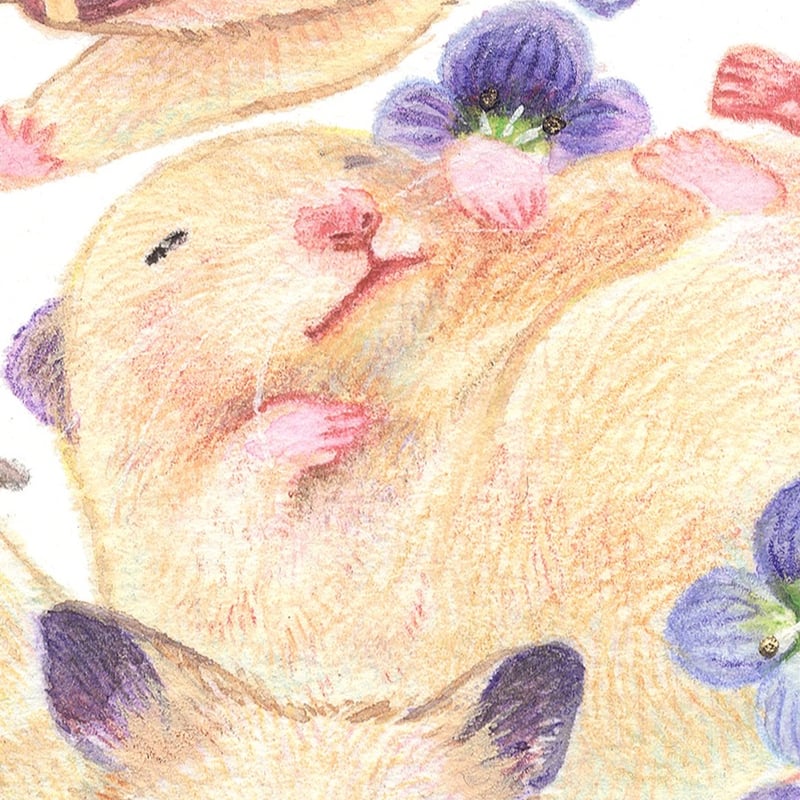 複製原画《どんなきみも》｜30匹のキンクマハムスターのおもちと30輪の