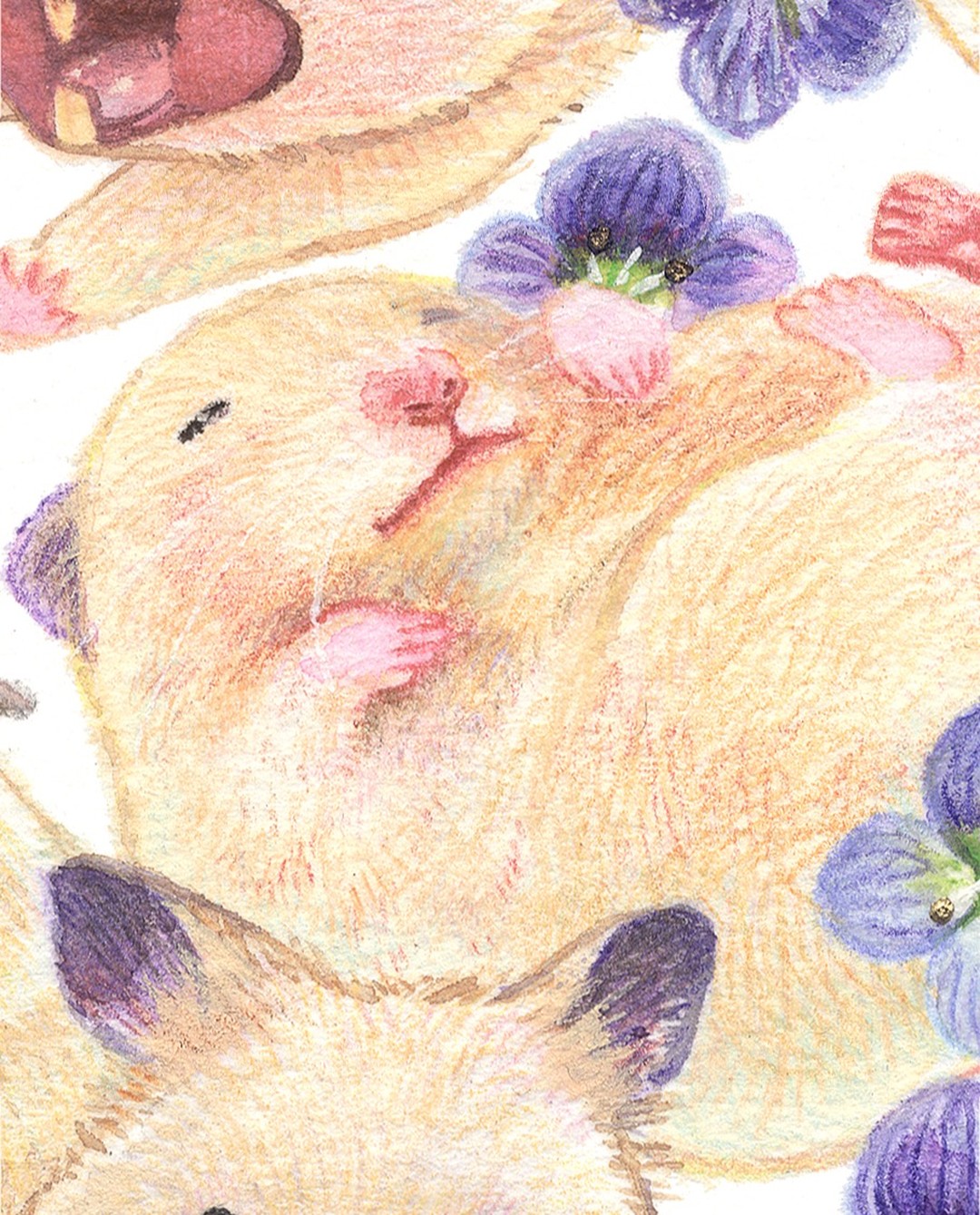 おにぎり ももいろジャンキー1巻 サイン本 おにぎり ももいろジャンキー 1巻 イラスト入りサイン本 初版