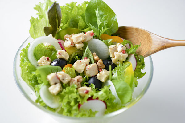 まるでチーズ 味噌漬け豆腐のオリーブオイル漬け | laputa farm