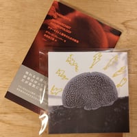 dj CoSmiC DisaSteR - ANOTHER WORLD IS POSSIBLE ＆ アナーキスト人類学のための断章 by デヴィッドグレーバー