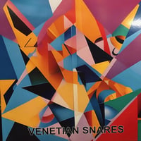 Venetian Snares - Hangars Liguides 19 RP （予約販売）
