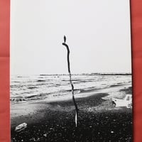 Reflections of a distant reality (Photo Zine) -  Lorelai Gumeni