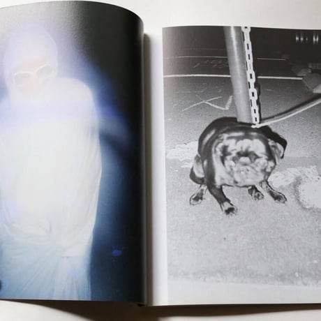 ASS (Phioto  Zine)- Ryohei Noguchi / ＊⊂≈<≪∞∝(｟⌒√prism - destr∞y a.k.a. dubdub