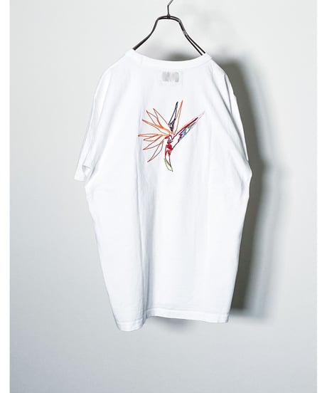 Strelitzia TEE