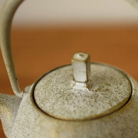 空間鋳造 鉄急須 Egg 小 Champagne（白金色）