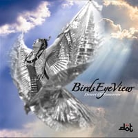 BIRDS EYE VIEW