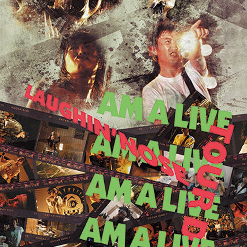 【DVD】LAUGHIN’ NOSE   AM A LIVE AM A LIVE DVD | LNOnline