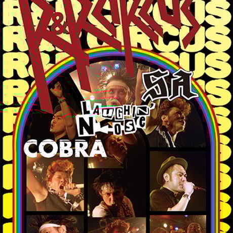 CATEGORY DVD | LNOnline