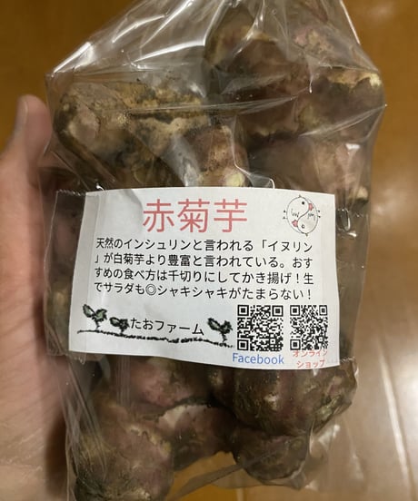 【12〜3月上旬限定！】赤菊芋 &たおたまっ‼︎セット