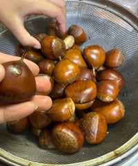天然育ちの生栗1kg