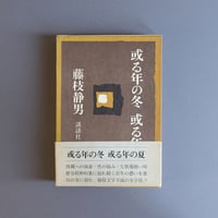 或る年の冬 或る年の夏　藤枝静男