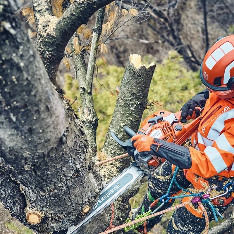 ハスクバーナ チェンソー 560XPG Mark II | イワサSTORE