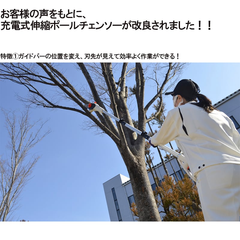 KOSHIN 充電式伸縮ポールチェンソー SPS-180T | イワサSTORE