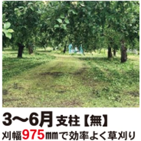 キャニコム　乗用草刈機　CM2205HCS　2WD　りんごブロッサムまさお　【大型商品・北海道限定販売】