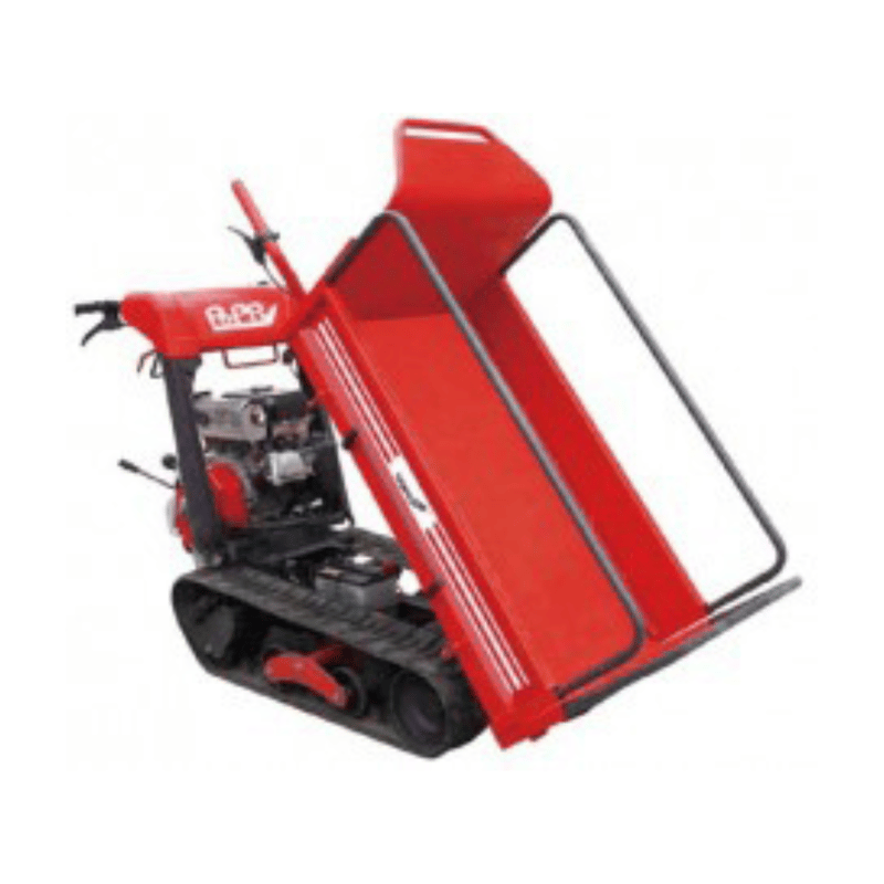 湘南ゴム　リビングサイズ 湘南ゴム リビングサイズ ショウナンゴムノキの育て方 | 観葉