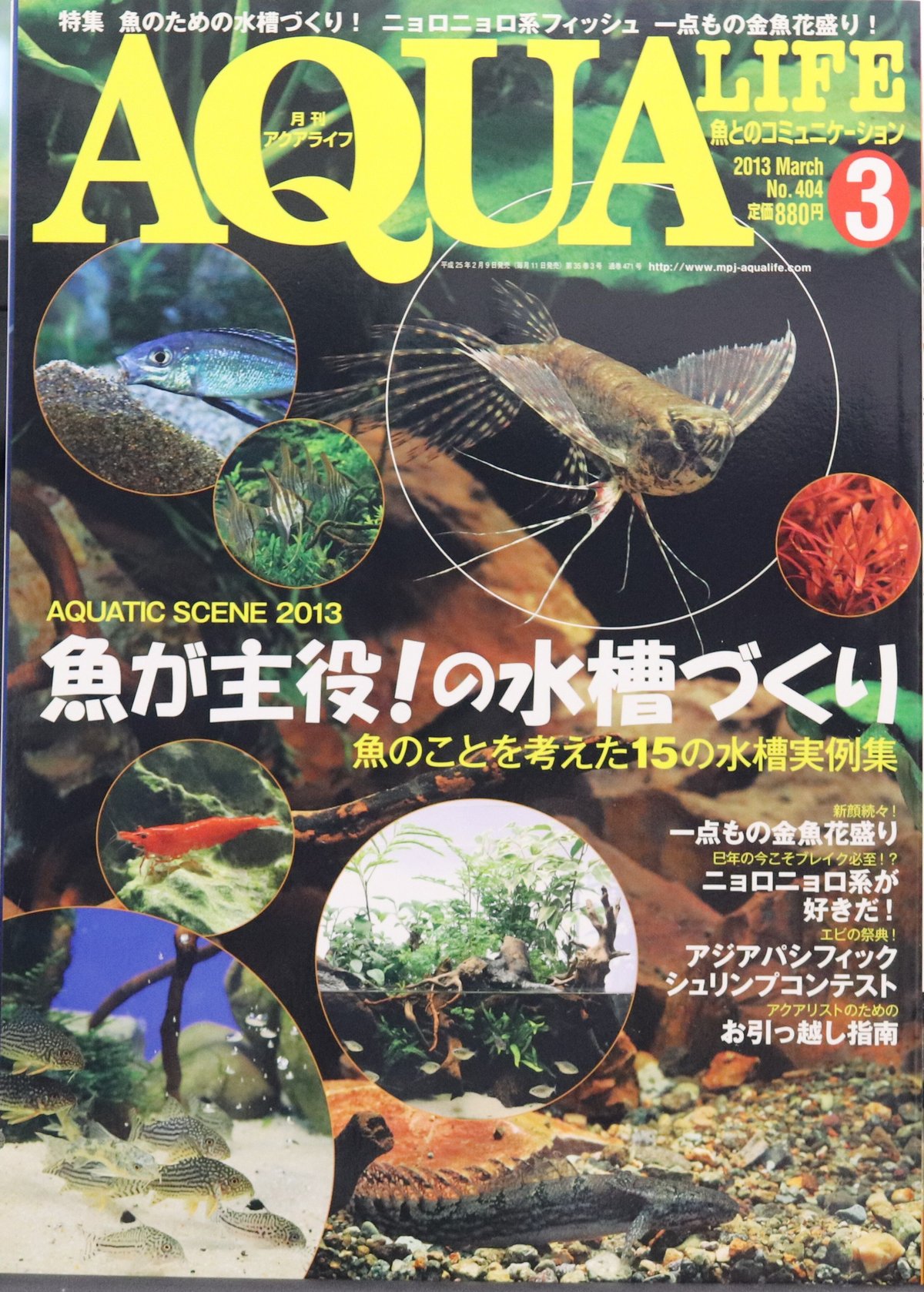 アクアライフ2013年3月号1冊 | water plants lover