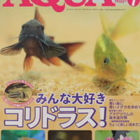 レイアウトに使える 水草500種図鑑【新装版】 | water plants lover