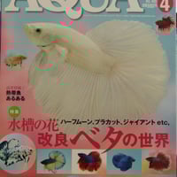 レイアウトに使える 水草500種図鑑【新装版】 | water plants lover