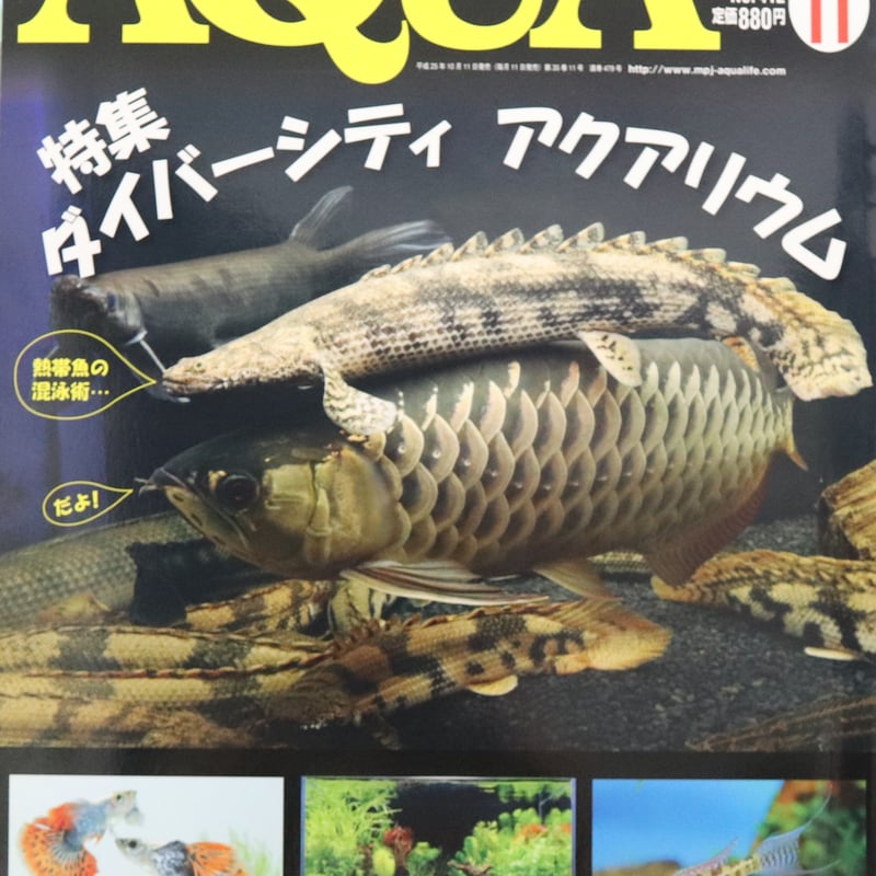 アクアライフ2013年11月号1冊 | water plants lover