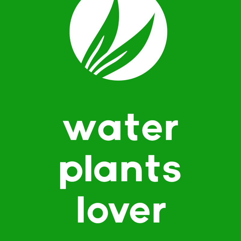 神奈川県N様専用アイテム230116 | water plants lover
