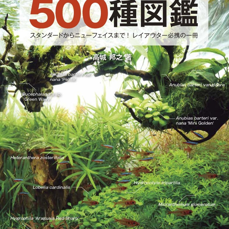 レイアウトに使える 水草500種図鑑【新装版】 | water plants lover