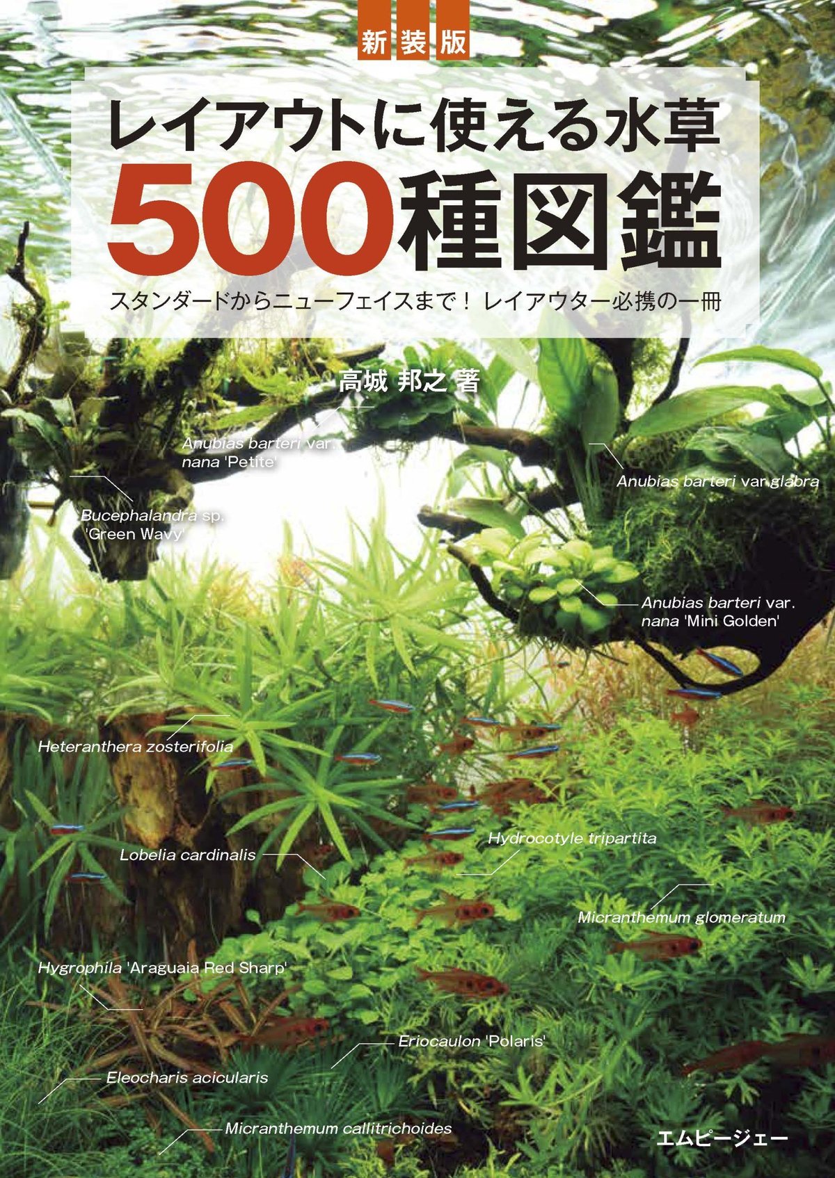 レイアウトに使える 水草500種図鑑【新装版】 | water plants lover
