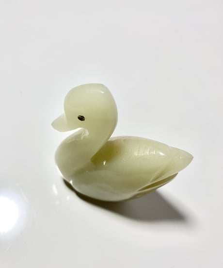 Schwan