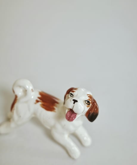 Puppy