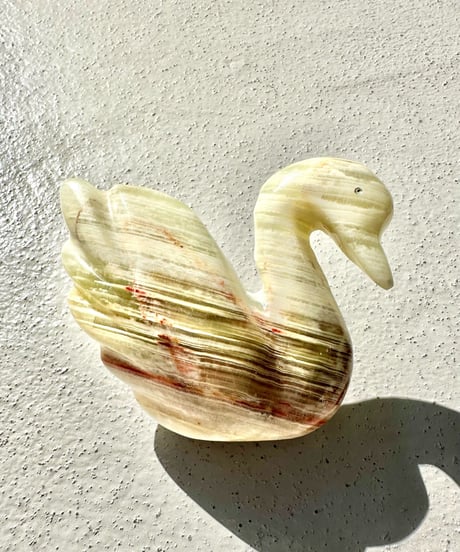 Schwan -M-