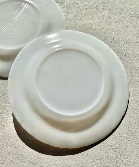 TORTE Dinner Plate
