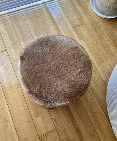 Stool