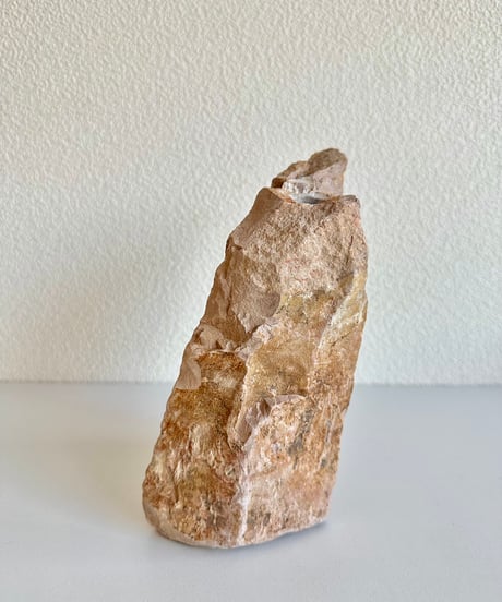 Beleben