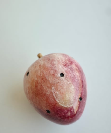 Pomona🍐🥥