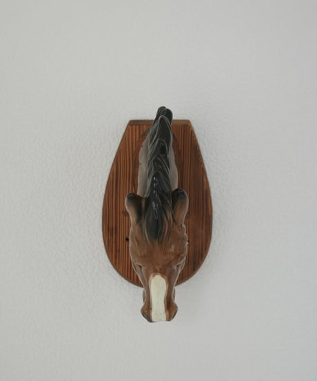 Horse Head