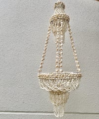 Shell Lamp