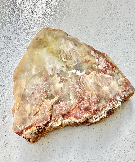 Petrified Wood