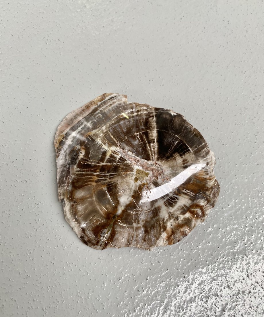 6210edb0c15c5a26a4d16f2c