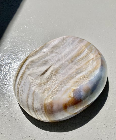 Soap Dish