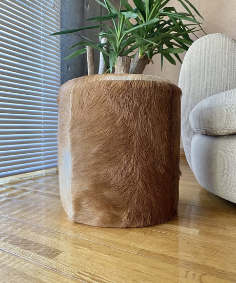 Stool