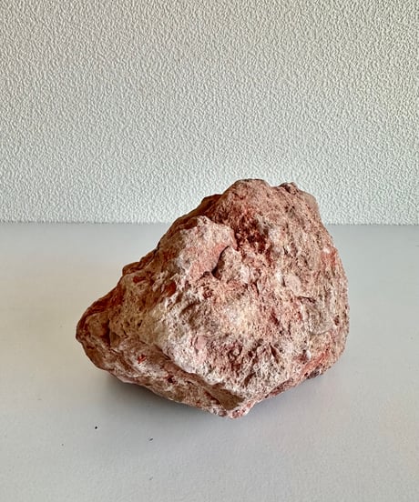 Beleben