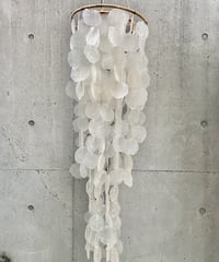 Shell Lamp
