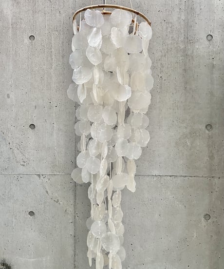 Shell Lamp