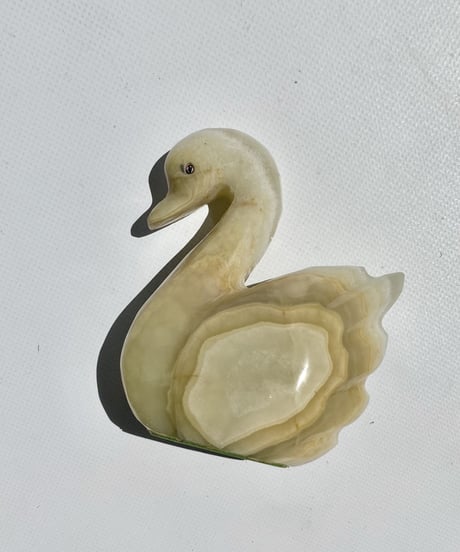 Schwan