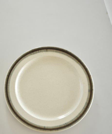 Dinner Plate