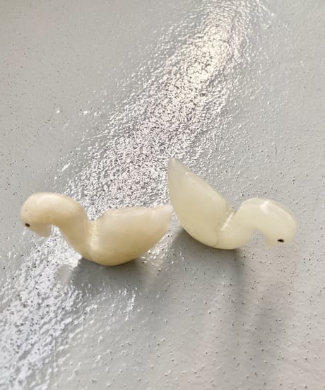 Schwan