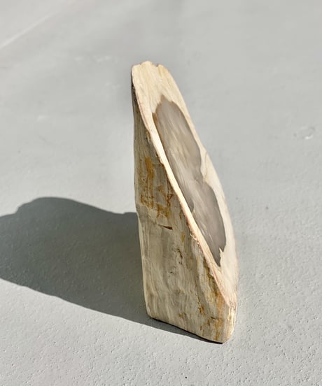 Sculpture (Petrified)