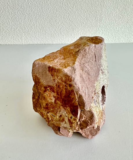 Beleben