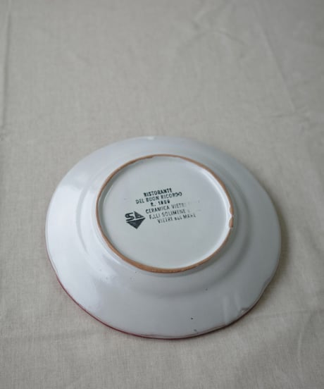 Dinner Plate