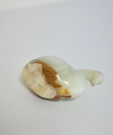 Schwan -ML-
